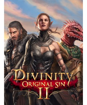 Divinity: Original Sin 2 GOG.com Key GLOBAL